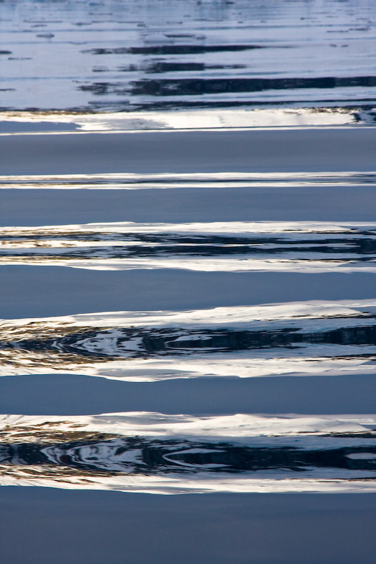Reflections In Water